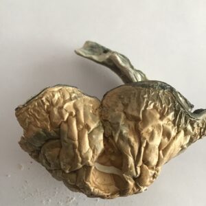 🍄Penis Envy (PE)MUSHROOMS 🍄 $30 Q / $60 HO / $120 OZ